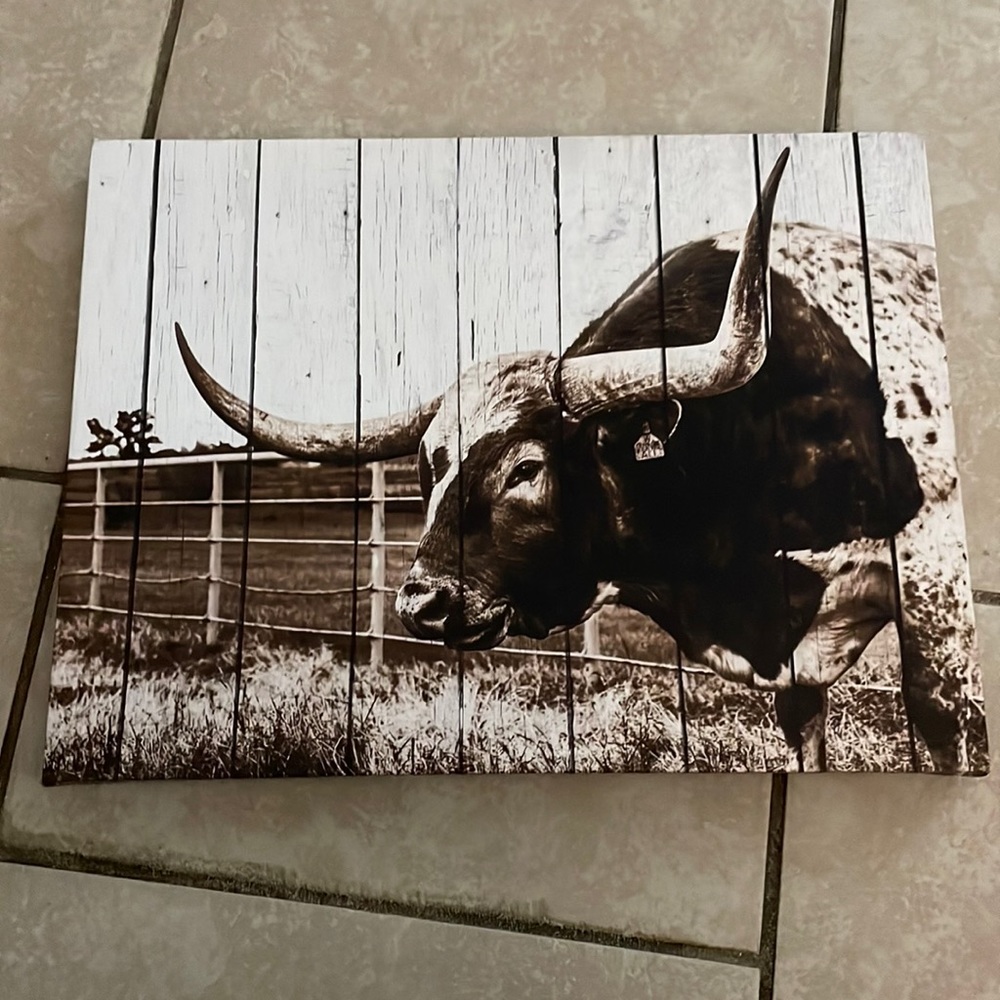 Cow picture